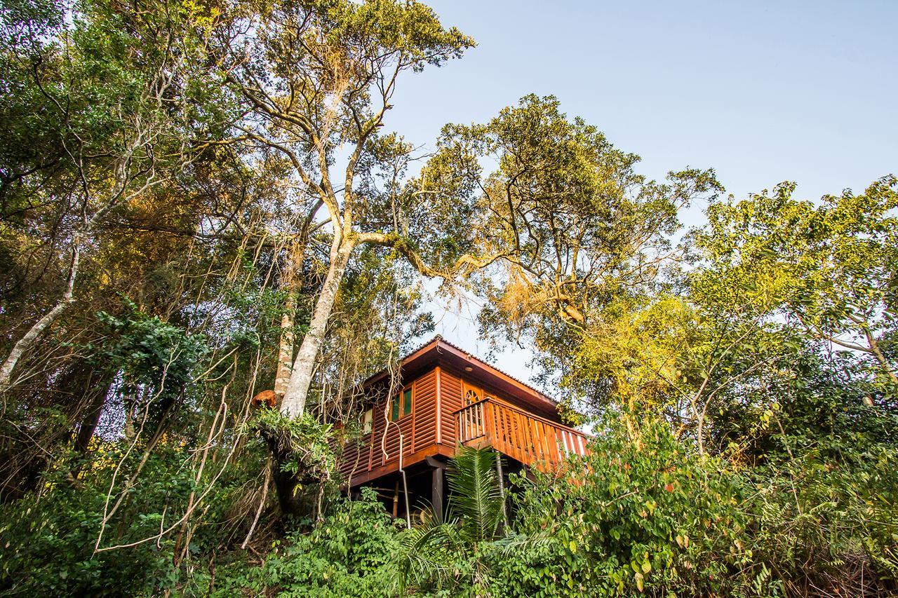 Mtunzini Forest Lodge Self Catering Resort Exterior foto